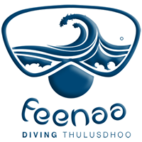 Feenaa Diving - Thulusdhoo